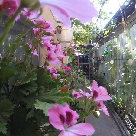 Appartamento Casa Milly Constanţa Esterno foto