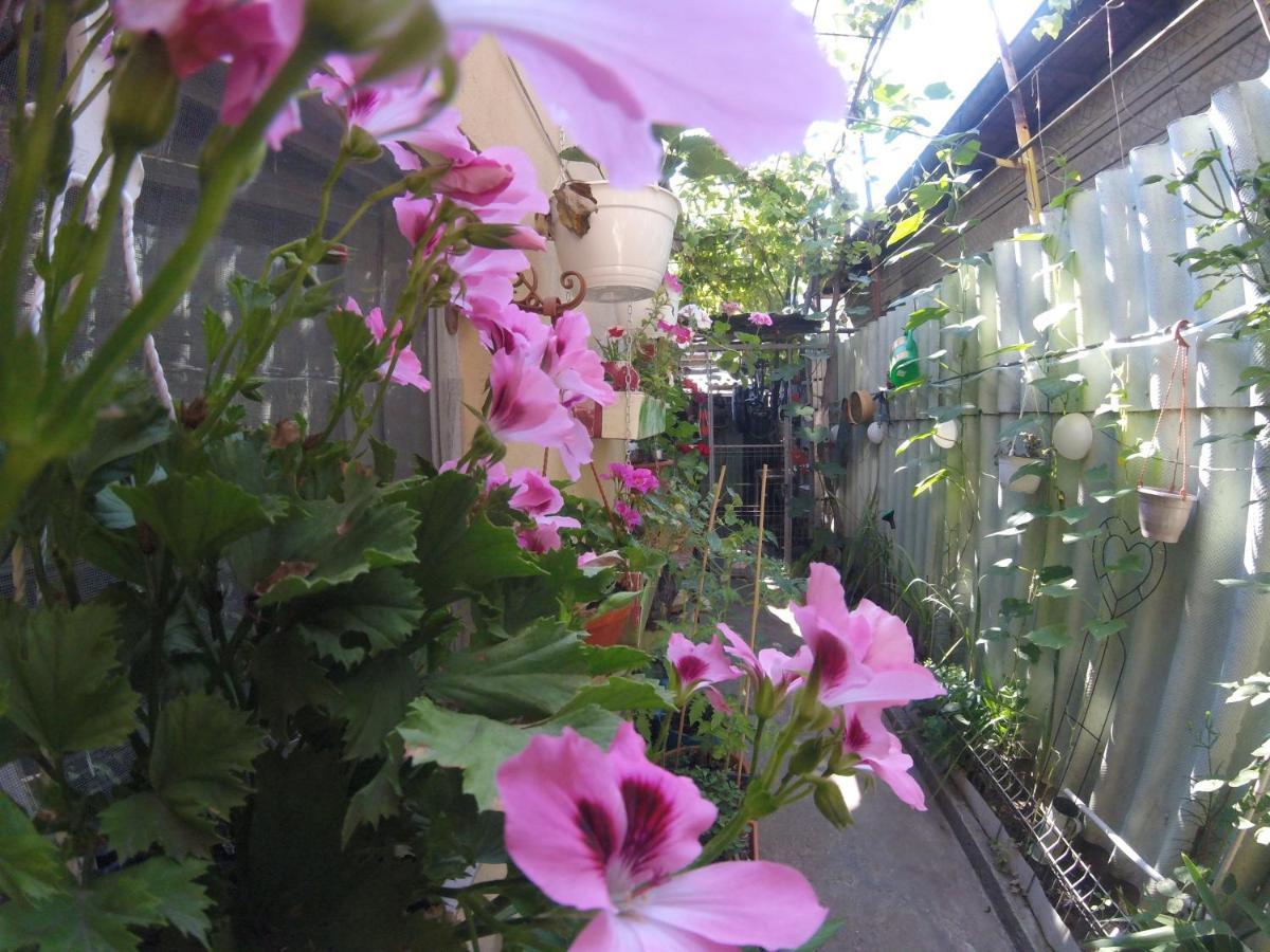 Appartamento Casa Milly Constanţa Esterno foto